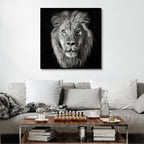 Black & White Lion Portrait Photography Art - Designity Art